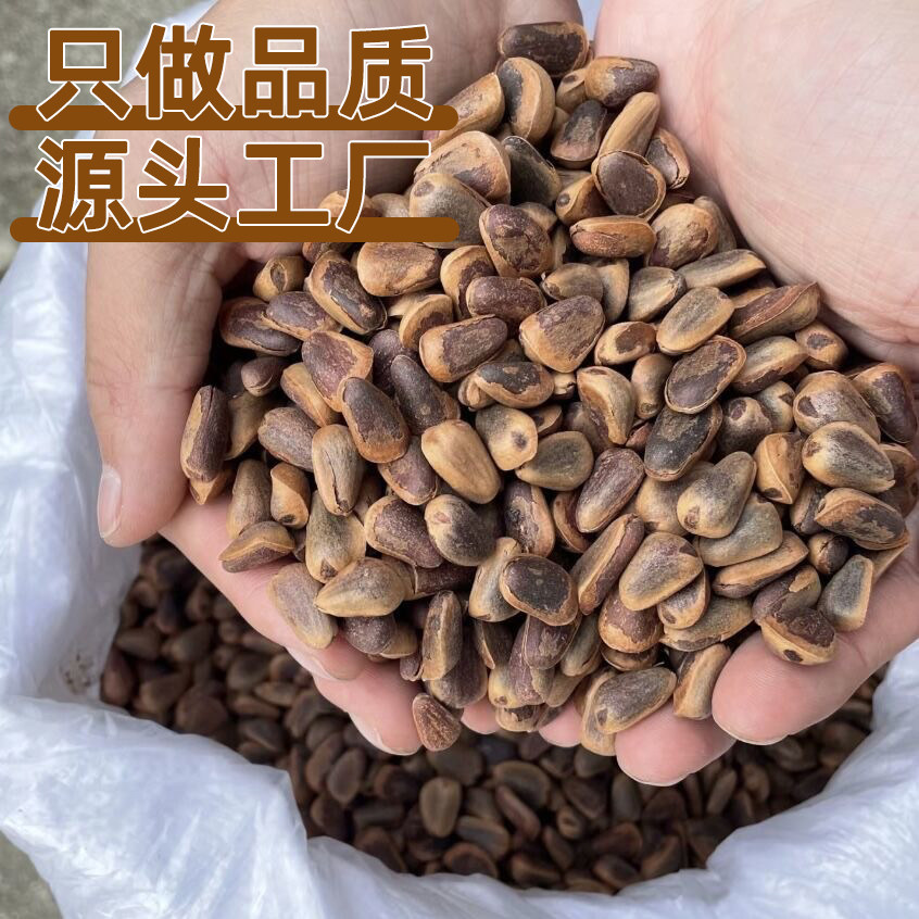 东北大松子原味手剥笨炒新鲜开口坚果薄皮熟干果新年货25年新货