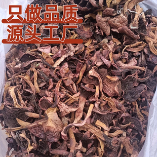 正宗红松蘑菇丁干货中国美味蘑菇东北特产新鲜红菇香菇红蘑菇零食