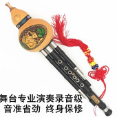 包邮 蓝孔雀T 081专业演奏录音级天然乌木可拆三音葫芦丝c调降b调