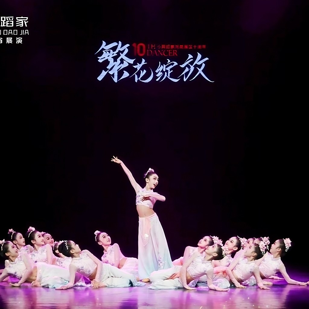 少儿舞蹈小舞蹈家朝花舞蹈女童舞台表演服饰儿童套装中国风舞蹈服