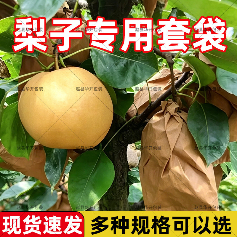 梨子专用套袋皇冠雪梨鸭梨袋防水防晒防虫防鸟水果保护袋秋月梨袋