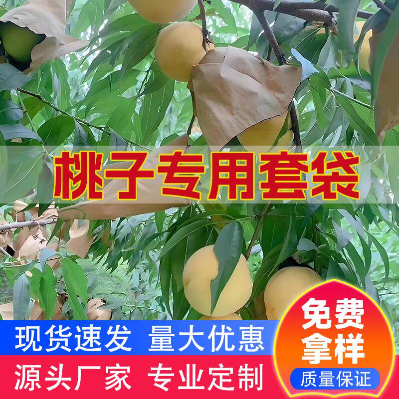 桃子专用套袋水蜜油桃蟠桃黄桃双层防水防晒防鸟虫水果保护袋桃袋