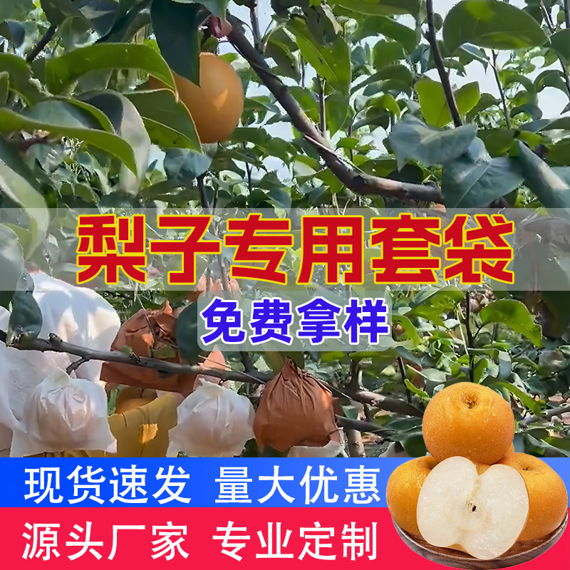 【免费拿样】秋月皇冠梨专用套袋图片
