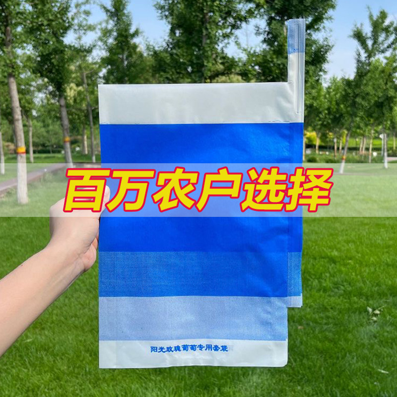 阳光玫瑰葡萄专用套袋防鸟防雨水