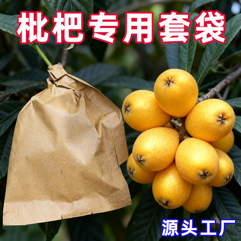 枇杷套袋专用袋防鸟套袋五星枇杷防晒保护袋白沙枇杷双层防冻纸袋