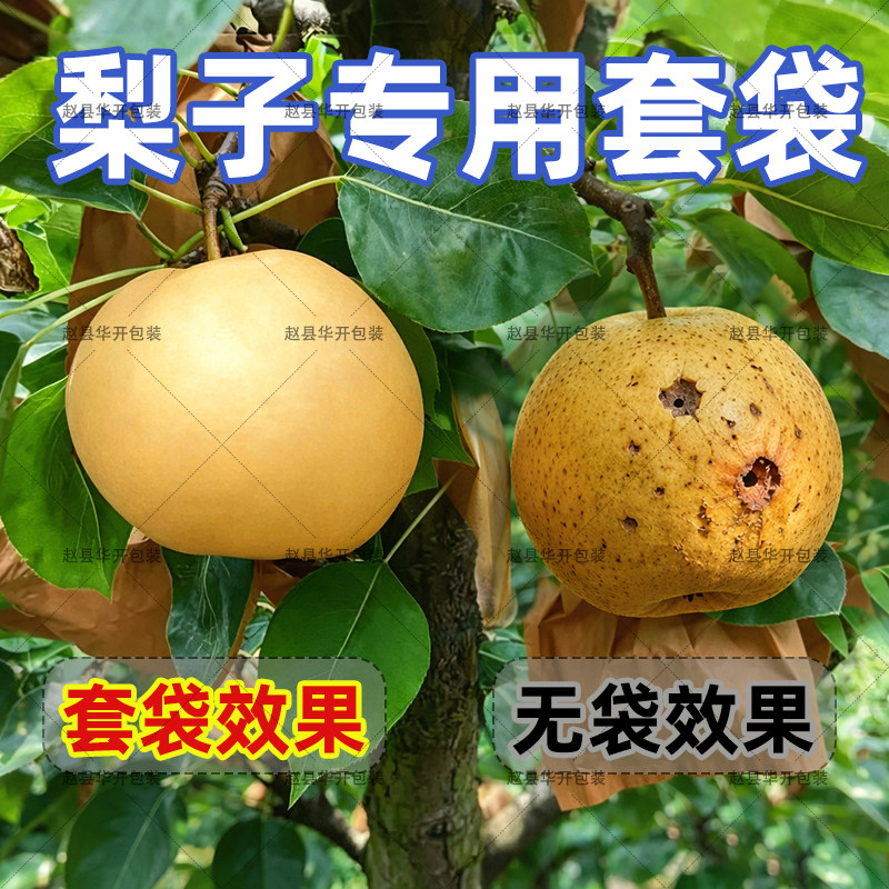 梨子专用套袋皇冠雪梨鸭梨袋防水防晒防虫防鸟水果保护袋秋月梨袋