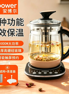 安博尔养生壶家用煮茶器煎药壶