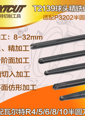 球面仿型铣刀杆 T2139-4R/5R/6R/8R/10R nextcut球头精铣刀杆
