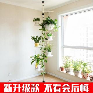 花架子室内多层阳台装饰落地挂摆设天立地客厅铁艺绿萝花盆植物架