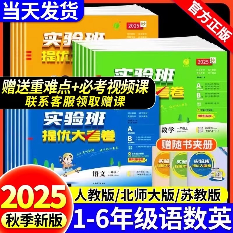 实验班提优大考卷小学学霸全优上