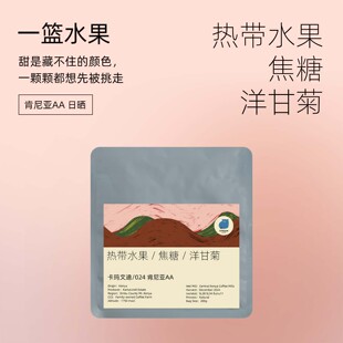 川流咖啡 卡马文迪处理站 精品日晒浅烘soe 手冲咖啡豆肯尼亚AA