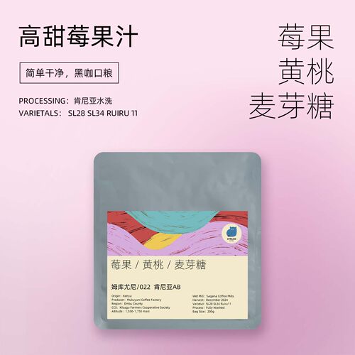 中烘肯尼亚水洗soe手冲黑咖奶咖