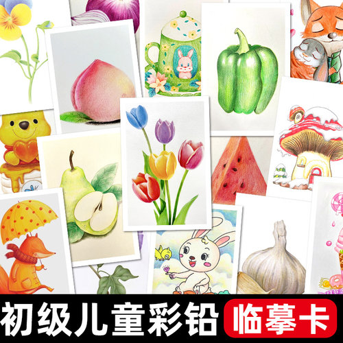 彩铅美术临摹卡彩铅动物人物少儿美术创意素描考级画室临摹卡素材