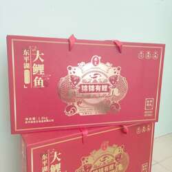 山东东平湖特产大鲤鱼礼盒2条真空熟食香辣即食糟鱼节日长辈礼品