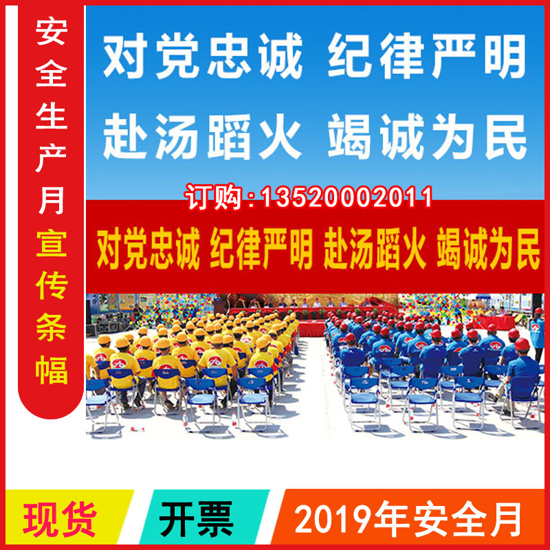 包发票 对党忠诚纪律严明赴汤蹈火竭诚为民 2024年安全月横/竖幅 音乐/影视/明星/音像 成人教育音像 原图主图