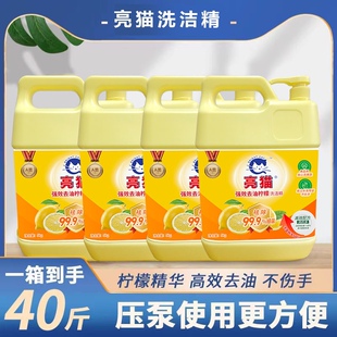 亮猫洗洁精大桶餐具厨具洗涤剂家庭用实惠装整箱批餐饮商用大瓶