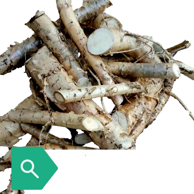 青皮梧桐树根 桐麻树根 中药材瓢儿树根 纯根 鲜干货 500g包邮