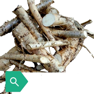 青皮梧桐树根 桐麻树根 中药材瓢儿树根 纯根 鲜干货 500g包邮