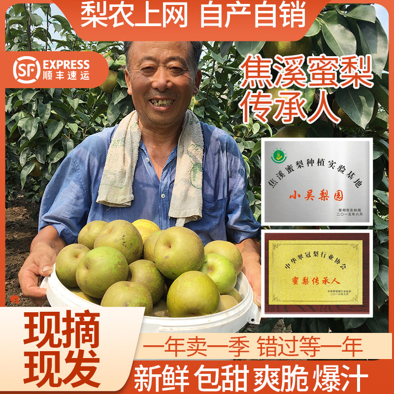 【发顺丰小吴梨园】正宗焦溪蜜梨翠冠现摘水果常州特产秋月香梨