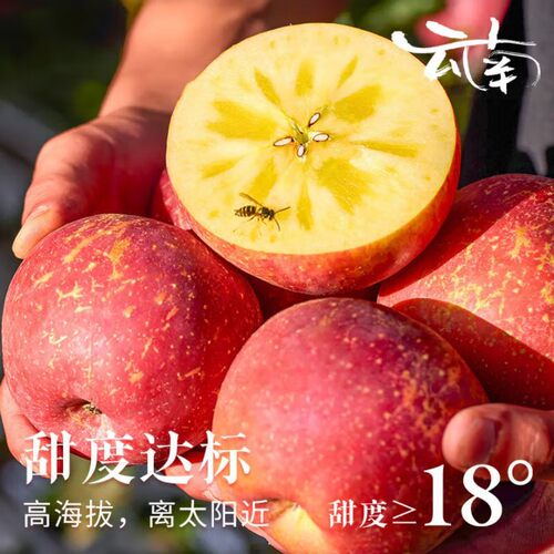 云南昭通冰糖心丑苹果高档孕妇水果野生红富士苹果应当季新鲜平果