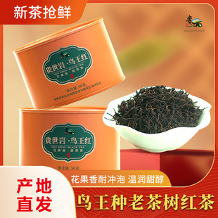 贵世岩贵州贵定鸟王红茶高山老树茶花蜜香鲜甜浓醇