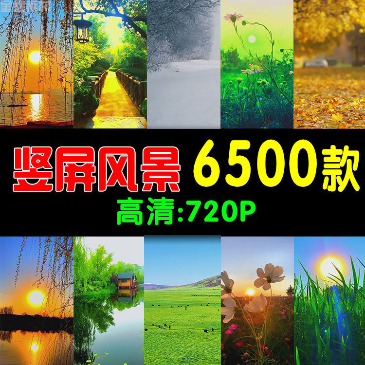 竖版风景高清短视频山水花草森林河流航拍抖音快手无水印剪辑素材