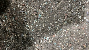 颗粒土一袋5.7 5.8斤