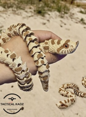 DIY定制-Hognose Snake 猪鼻蛇 仿生关节可动逼真科教模型标本