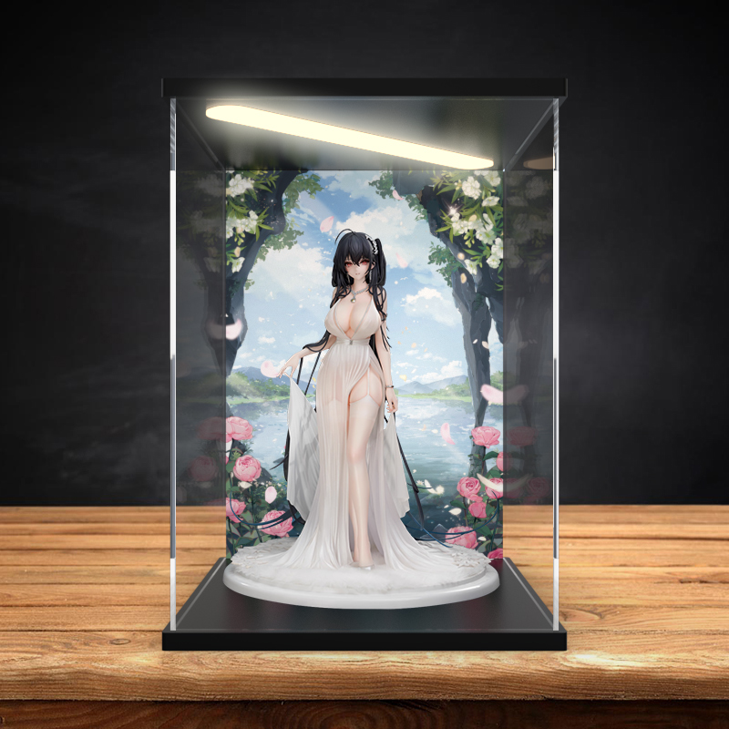 古薇媞展示盒大凤鹩潮风的吸引