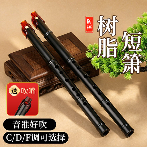 树脂洞箫短箫6孔CDF调初学儿童