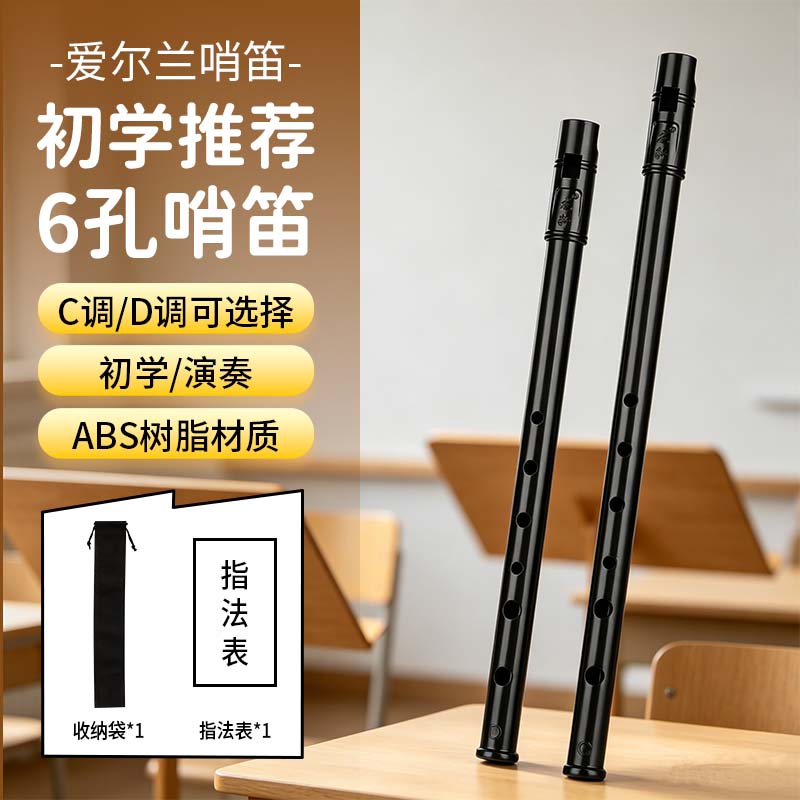龙轩爱尔兰哨笛c调d调树脂专业演奏笛子入门初学凯尔特笛竖笛短笛
