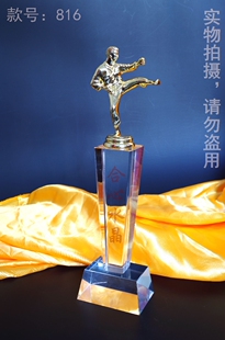 水晶金属散打武术运动小金人奖杯diy定制 816款方柱类奖品