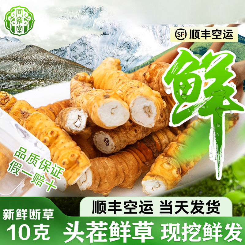 【26年头茬鲜草】冬虫夏草新鲜断草大号断草10-50克顺丰冷链