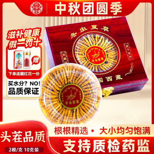 正宗冬虫夏草头茬干货10克装