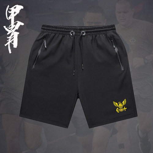 NAVY老鹰标体能训练裤子