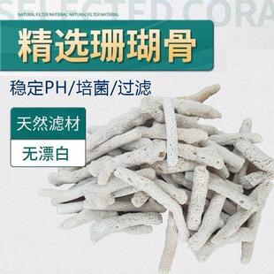 天然珊瑚骨造景调节PH过滤瑚石砂过滤材料净水优质海鲜档鱼池培菌