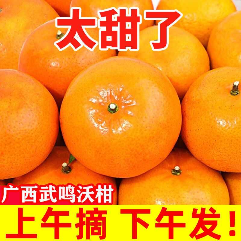 应季正宗广西砂糖柑橘桔子橘子
