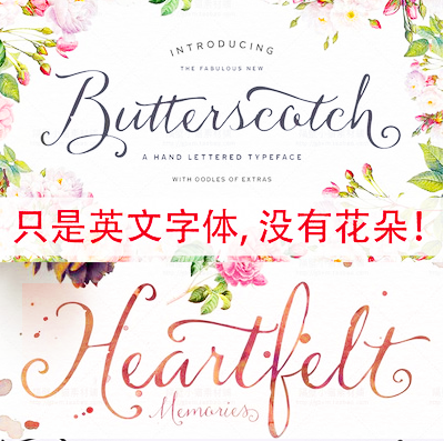 森ps复古飘逸手写英文字体 logo制作海报平面设计字体素材 [ft84]