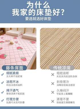 南极人床垫加厚双面软垫冬夏两用冰丝藤席学生宿舍可折叠地铺凉席