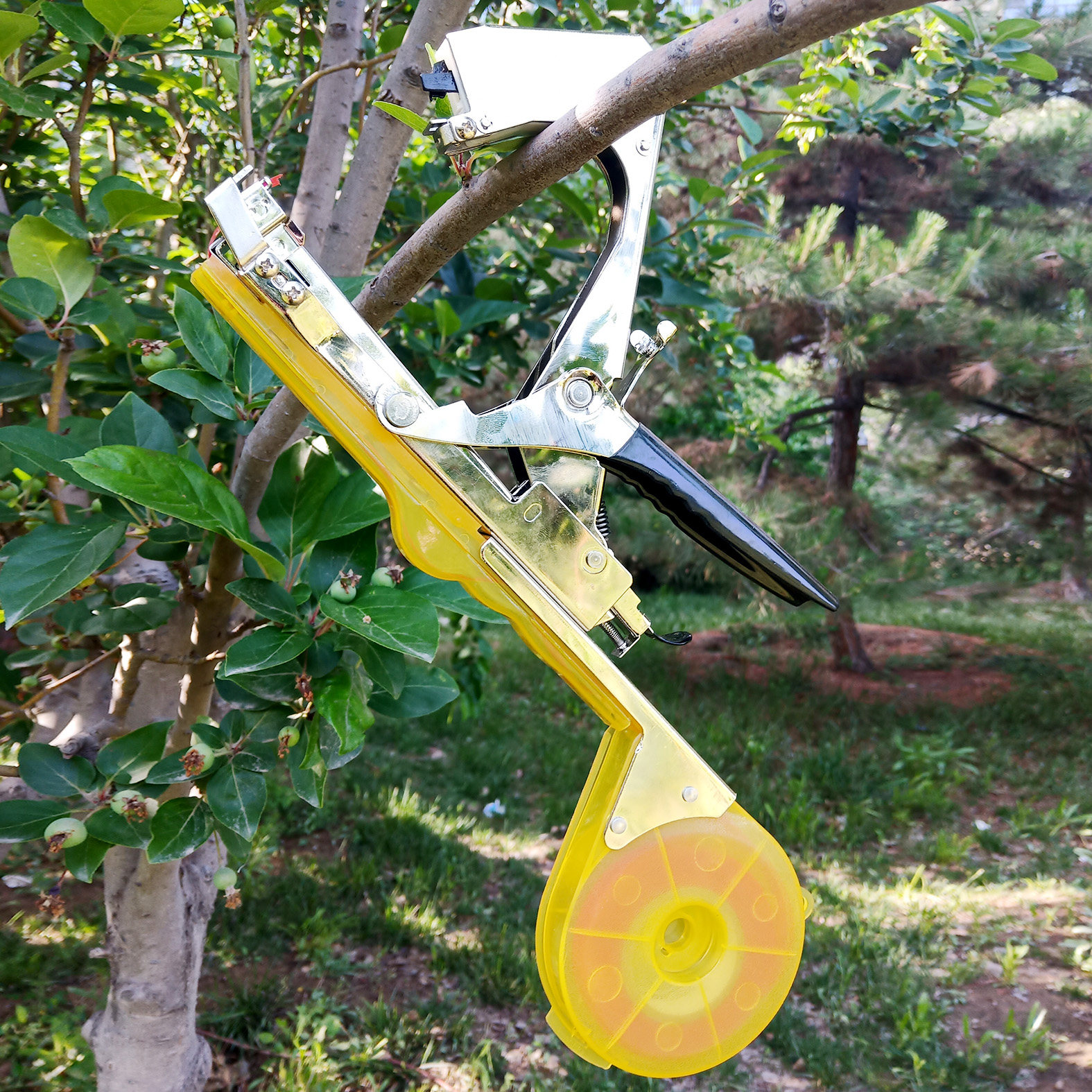 易速YISUPAI绑枝机绑蔓绑枝绑藤器绑葡萄机绑黄瓜机西红柿捆枝器,农机/农具/农膜,绑枝机/绑蔓机,淘宝优惠券,粉丝福利购,淘宝优惠卷