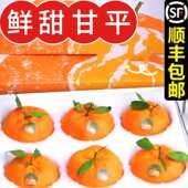 顺丰 现摘孕妇水果商超品质非耙耙橘 10斤当季 包邮 甘平柑橘特大5