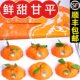 顺丰 现摘孕妇水果商超品质非耙耙橘 10斤当季 包邮 甘平柑橘特大5