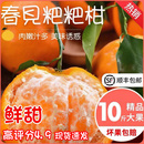 丑桔子粑粑柑新鲜孕妇水果精选杷杷柑 四川春见耙耙柑当季 顺丰 包邮