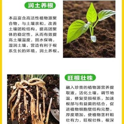 扦插专用生根粉扦插生根液植物猛生根原液移栽玫瑰月季扦插生根剂