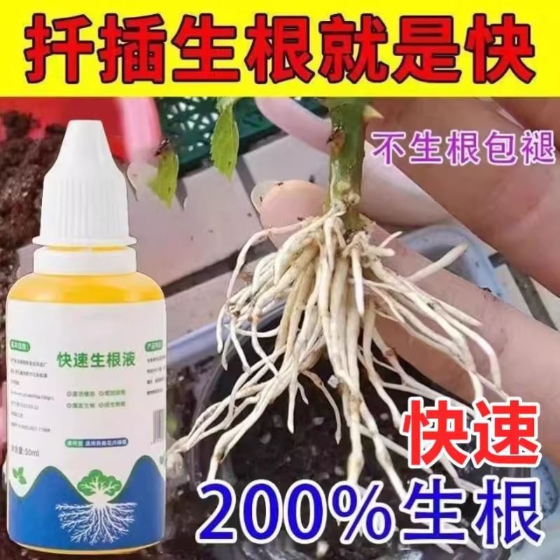快速生根液绿植物通用扦插移栽花卉树木强力壮苗生根剂多肉生根