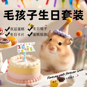 仓鼠生日蛋糕金丝熊花枝鼠节日布置生日帽贺卡零食宠物双层蛋糕