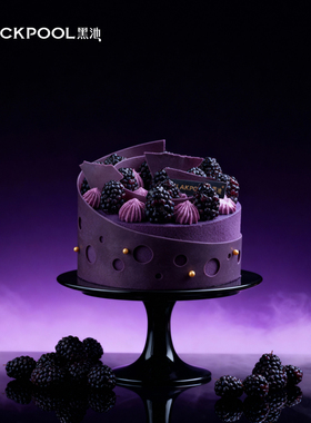 黑池射手座暮色海草莓海盐芝士星座节日生日蛋糕广州深圳同城配送