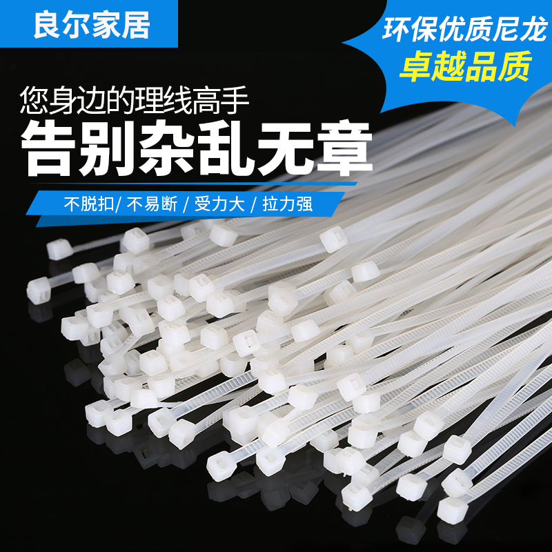 自锁式尼龙扎带塑料封条