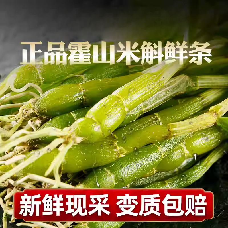 正品霍山石斛米斛鲜条新鲜枫斗