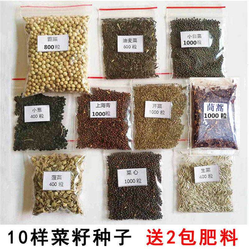 10种当季蔬菜种子菜种子春夏秋季四季菜种子套餐小葱香菜生菜送肥